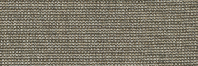 Coco - 3820 (Agora)