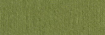 1537 Green Cactus