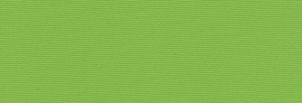 1542 Green Anis